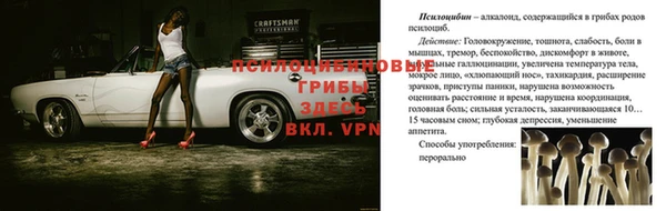 mdpv Ладушкин