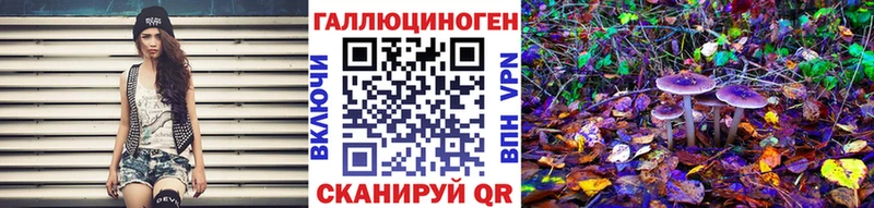 Псилоцибиновые грибы Psilocybe  Купить  Афипский 